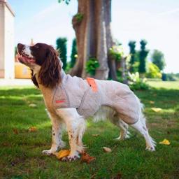 Siccaro Supreme Vol 2 Tørre Dækken Til Hunden Sand